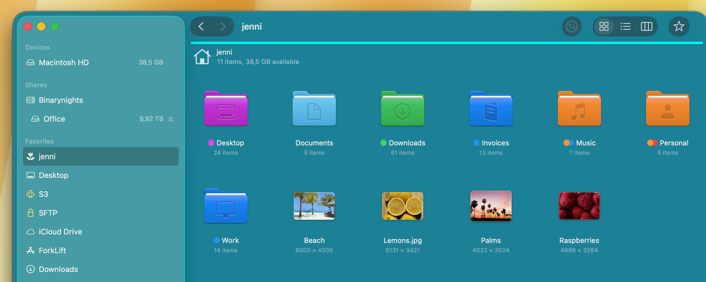 ForkLift 4.6.3 is available – Item Info in Icon View and Enhanced Go to Folder Navigation